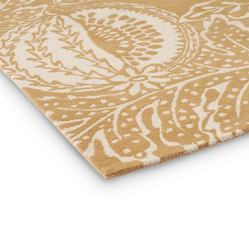 Cantaloupe Ochre - Image 4