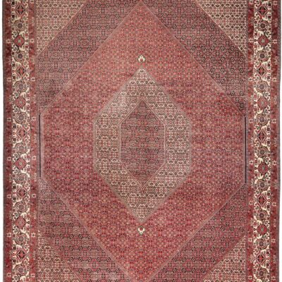 Bidjar390X296 Cm