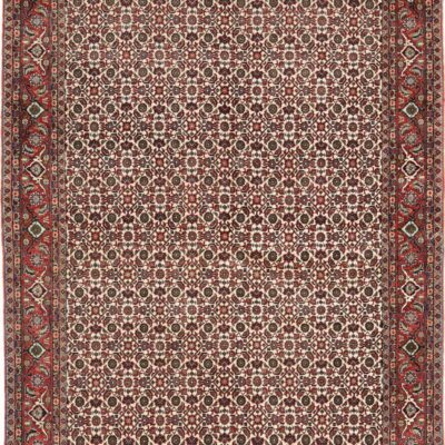 Bidjar216X138 Cm