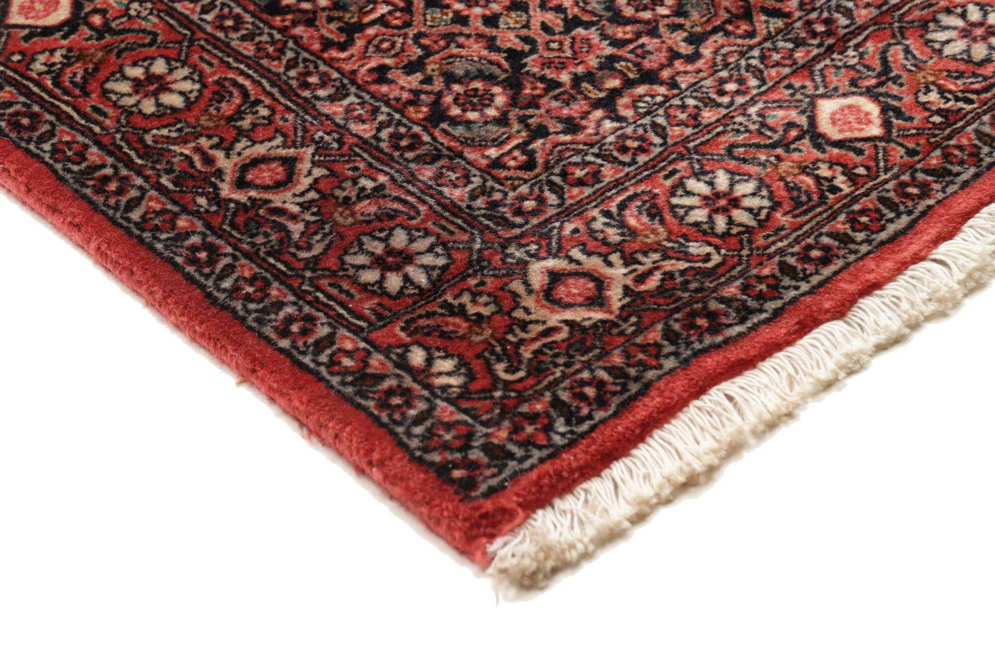 Bidjar290X81 Cm - Image 5