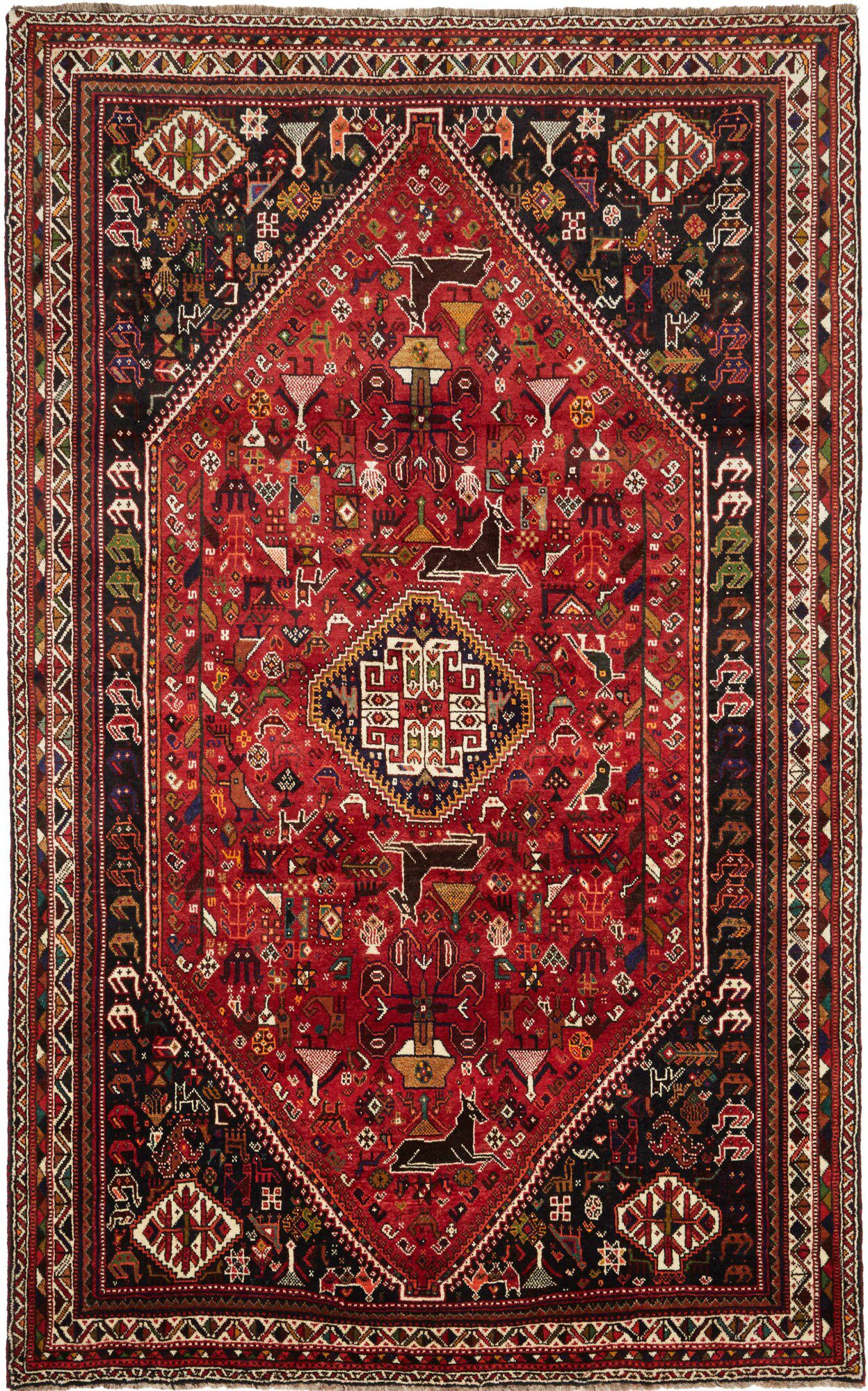 Shiraz 295X183 Cm